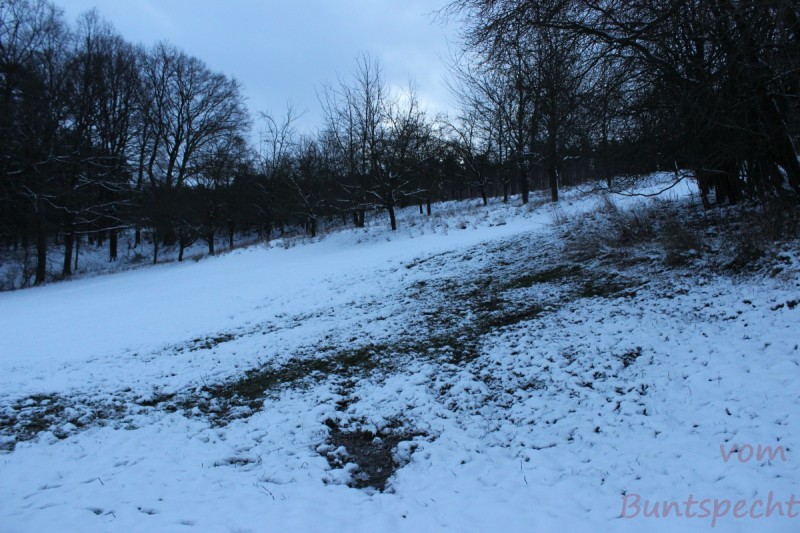 Bildla Nummära 007.jpg