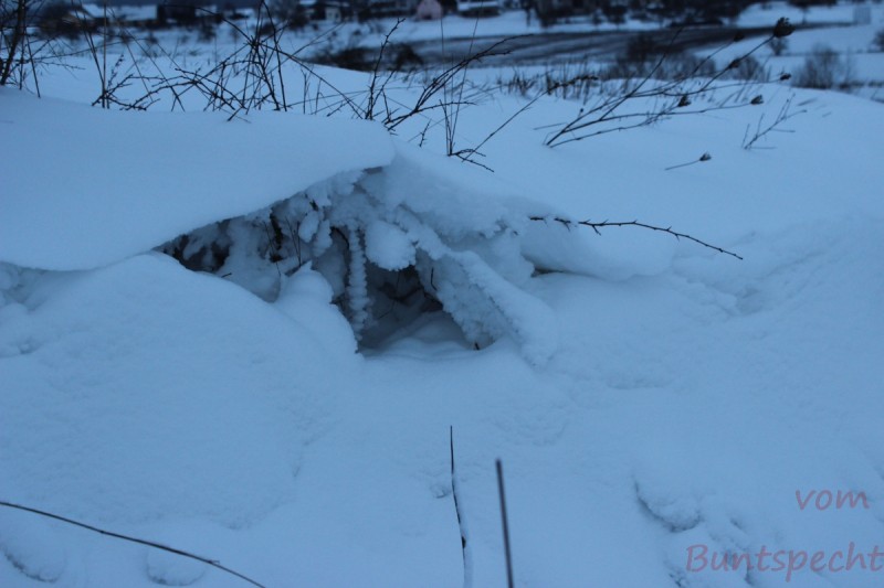 Bildla Nummära 009.jpg