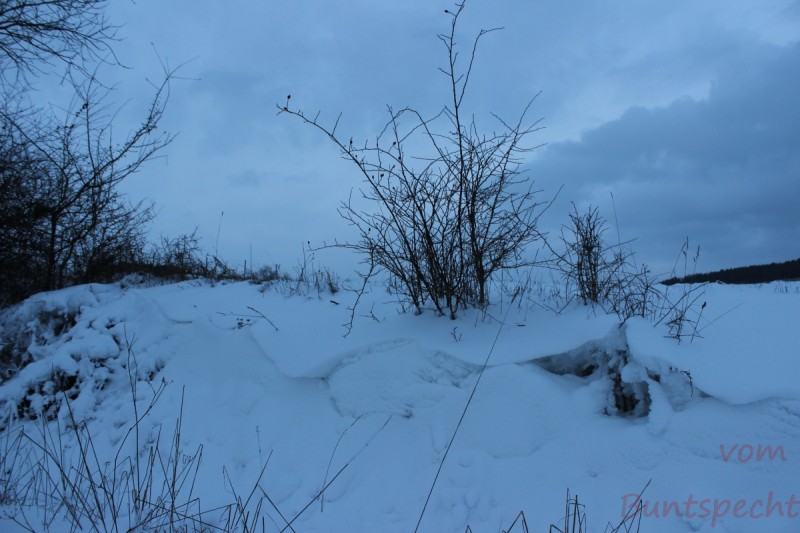 Bildla Nummära 010.jpg