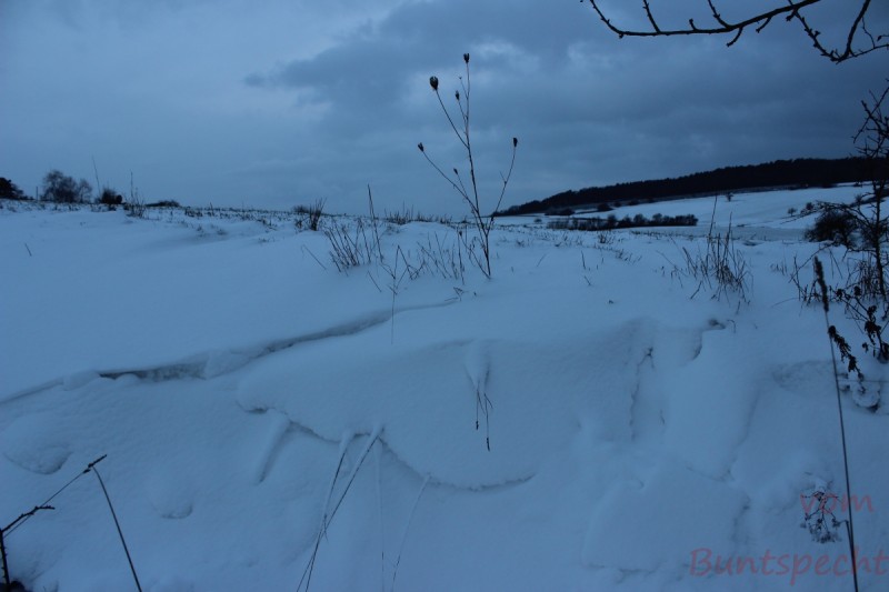 Bildla Nummära 011.jpg