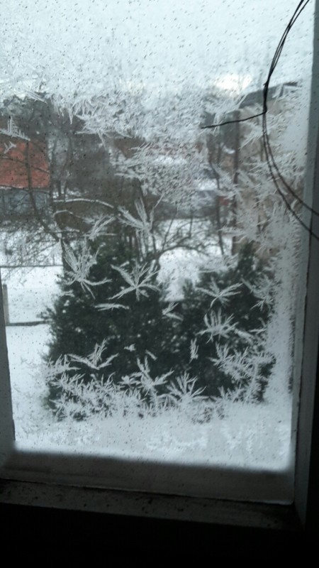 2016-01-21 21.57.54.jpg