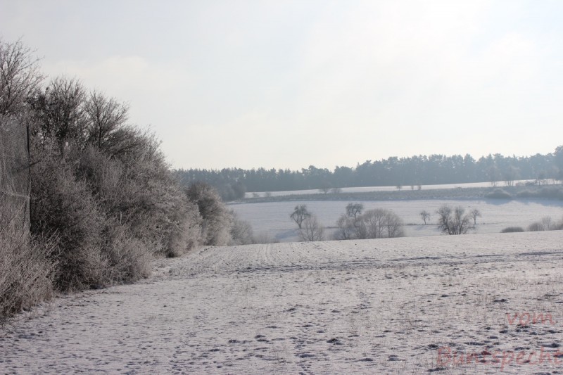 Bildla Nummära 001.jpg