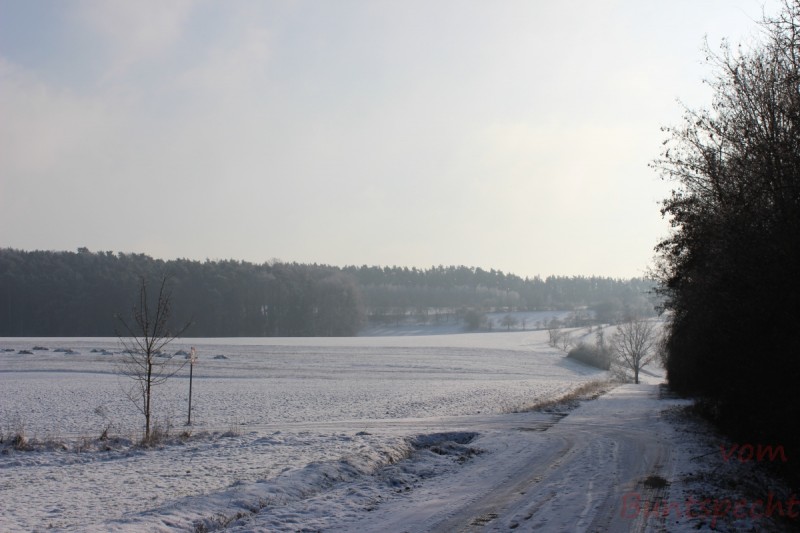 Bildla Nummära 002.jpg