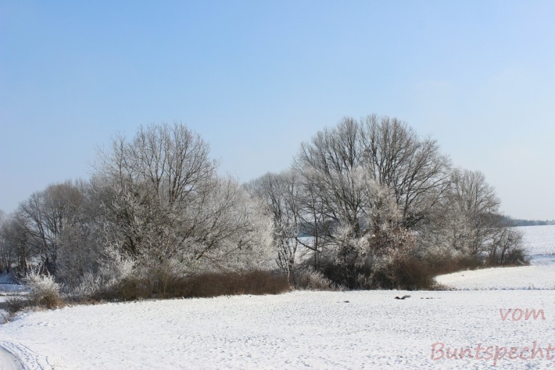 Bildla Nummära 003.jpg