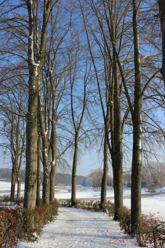 Bildla Nummära 004.jpg