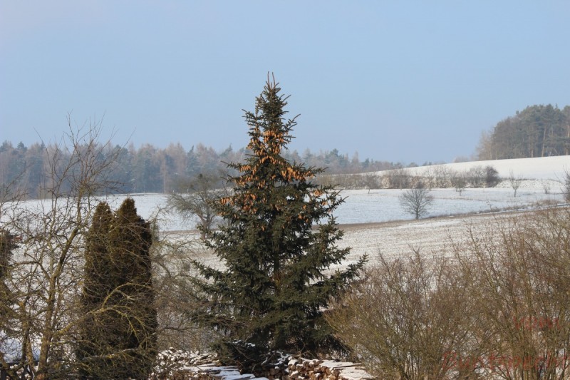 Bildla Nummära 007.jpg