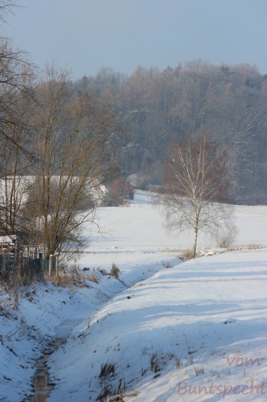 Bildla Nummära 013.jpg