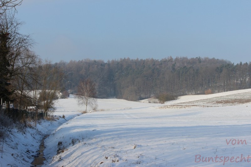 Bildla Nummära 014.jpg