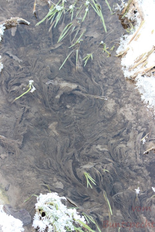 Bildla Nummära 015.jpg