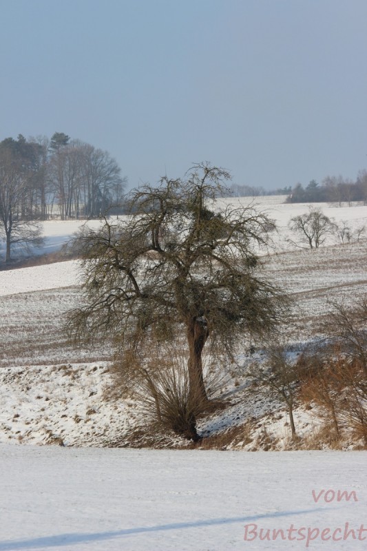 Bildla Nummära 017.jpg