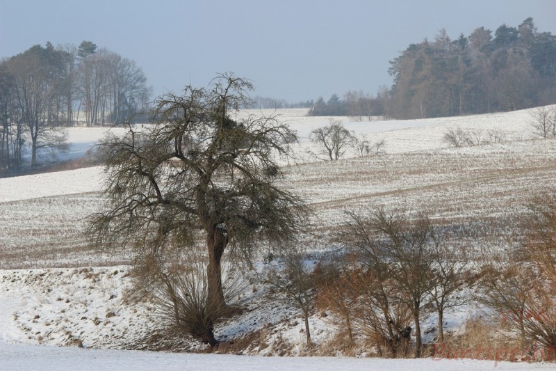 Bildla Nummära 018.jpg