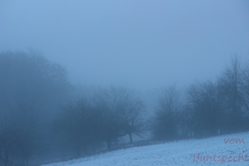 Bildla Nummära 001.jpg