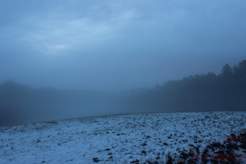 Bildla Nummära 002.jpg