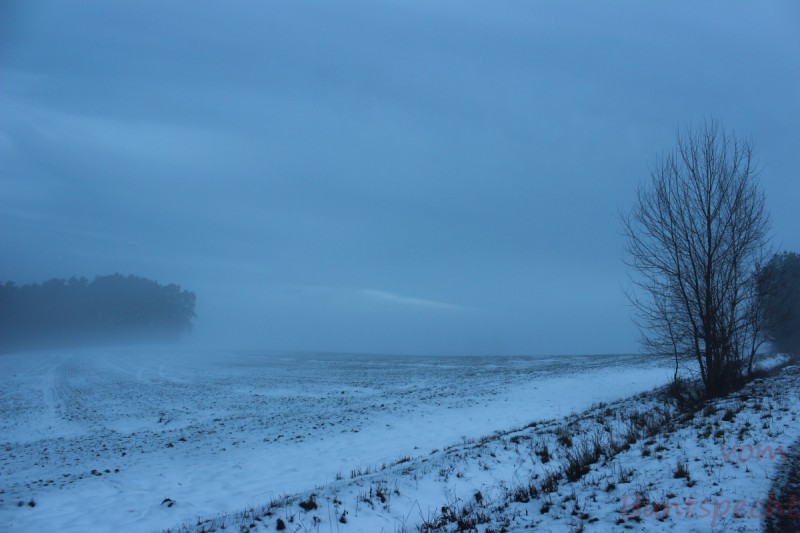 Bildla Nummära 003.jpg