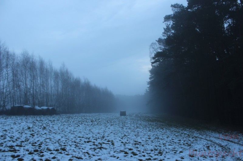 Bildla Nummära 004.jpg