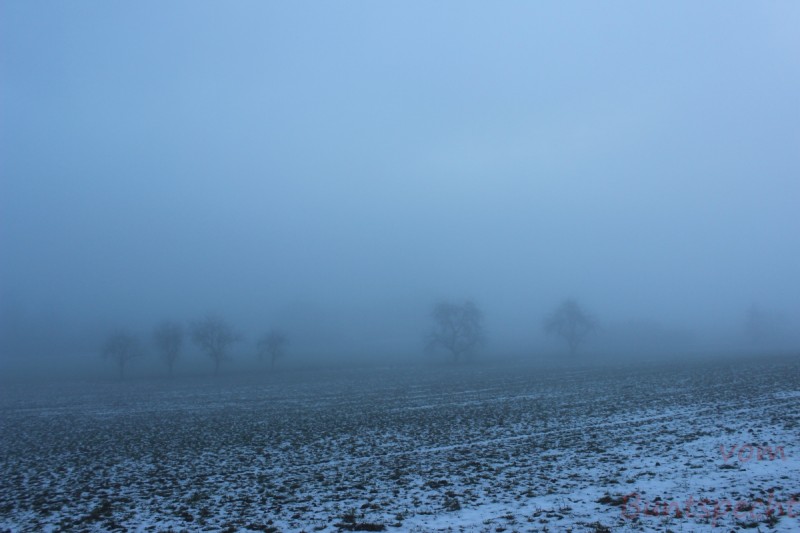 Bildla Nummära 005.jpg