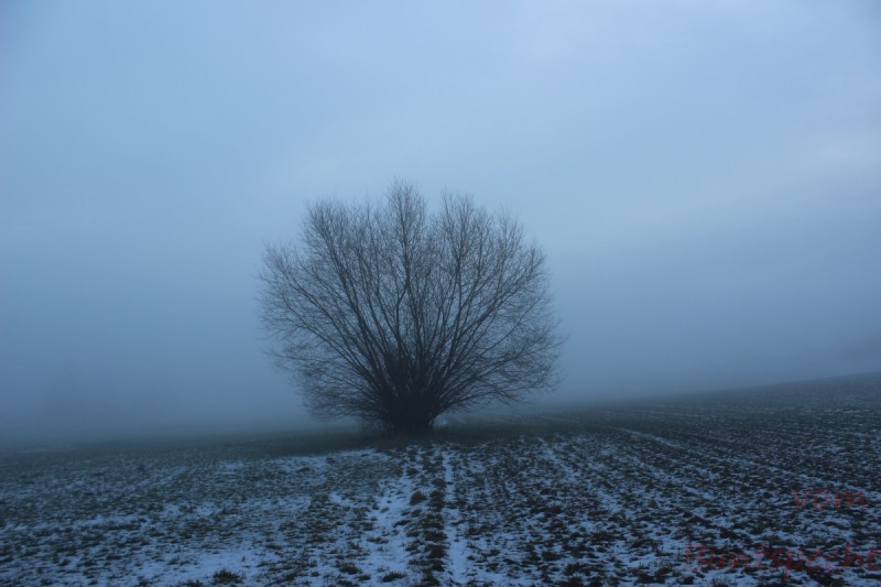 Bildla Nummära 006.jpg