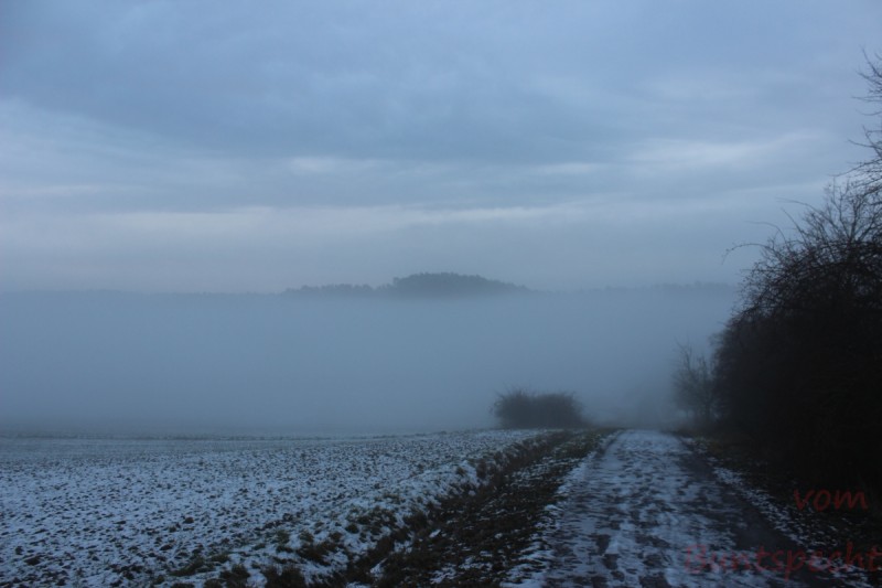 Bildla Nummära 008.jpg