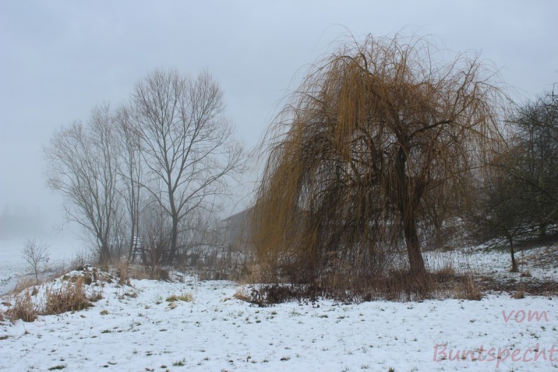 Bildla Nummära 009.jpg