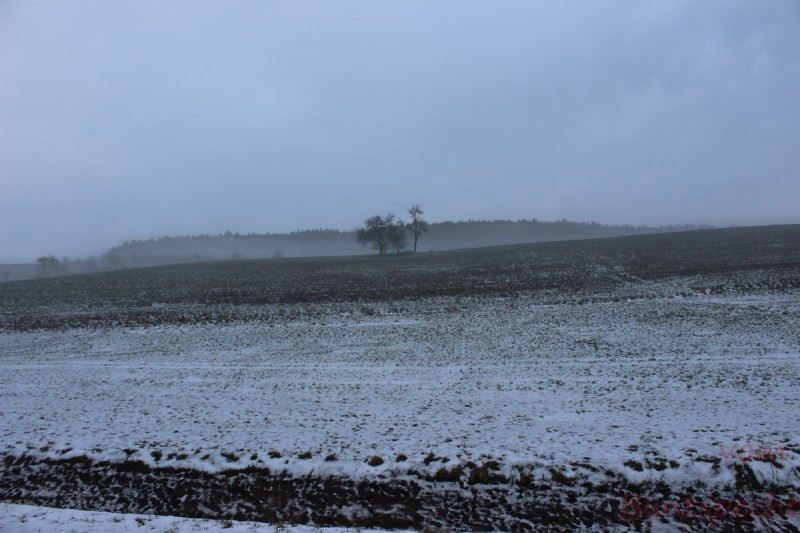 Bildla Nummära 010.jpg