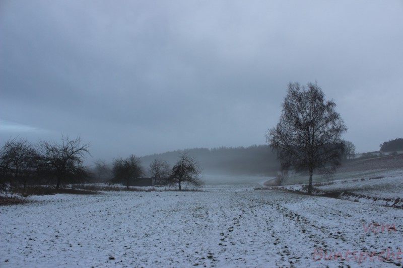 Bildla Nummära 013.jpg