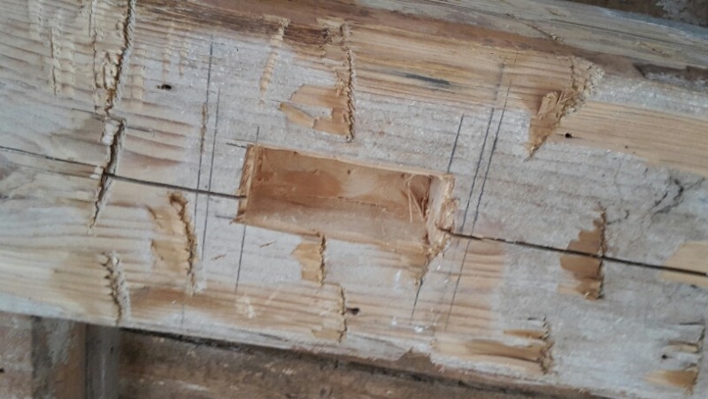 2016-02-06 17.50.23.jpg