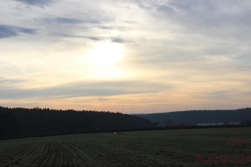 Bildla Nummära 001.jpg