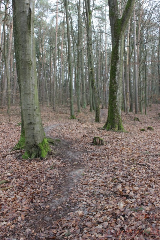 Bildla Nummära 003.jpg