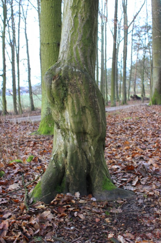 Bildla Nummära 005.jpg