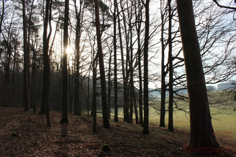 Bildla Nummära 017.jpg