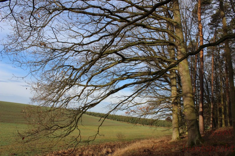 Bildla Nummära 020.jpg