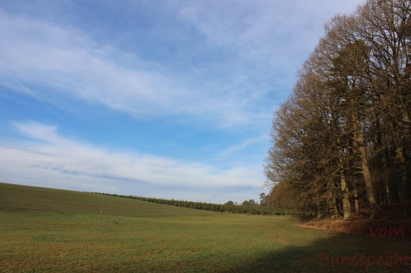 Bildla Nummära 022.jpg