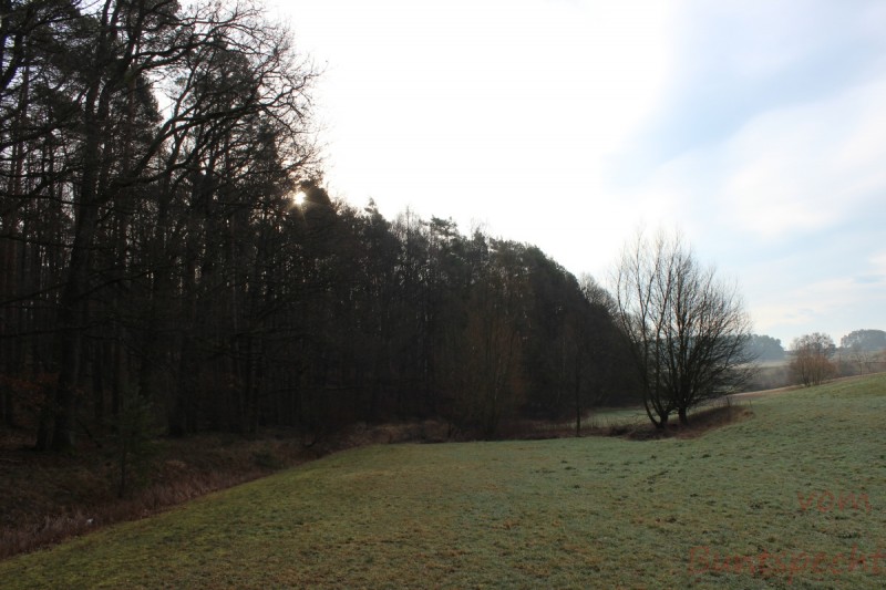 Bildla Nummära 023.jpg