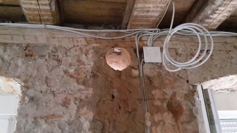 2016-02-13 17.45.18.jpg