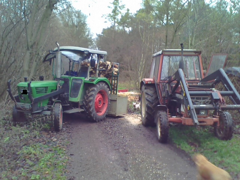 Holzausbeute 023.jpg