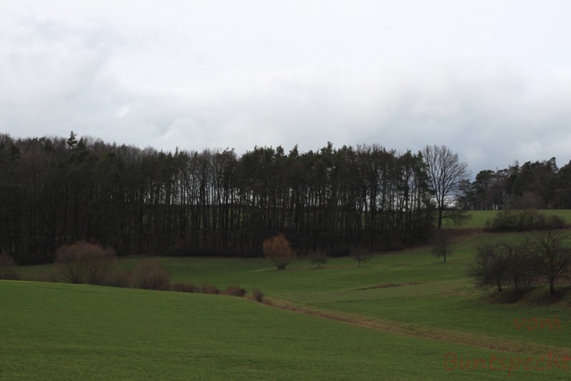 Bildla Nummära 001.jpg