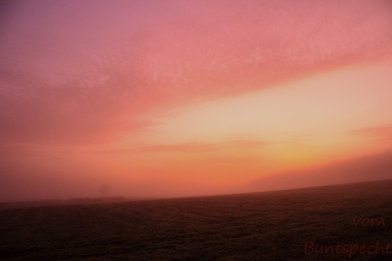 Bildla Nummära 001.jpg