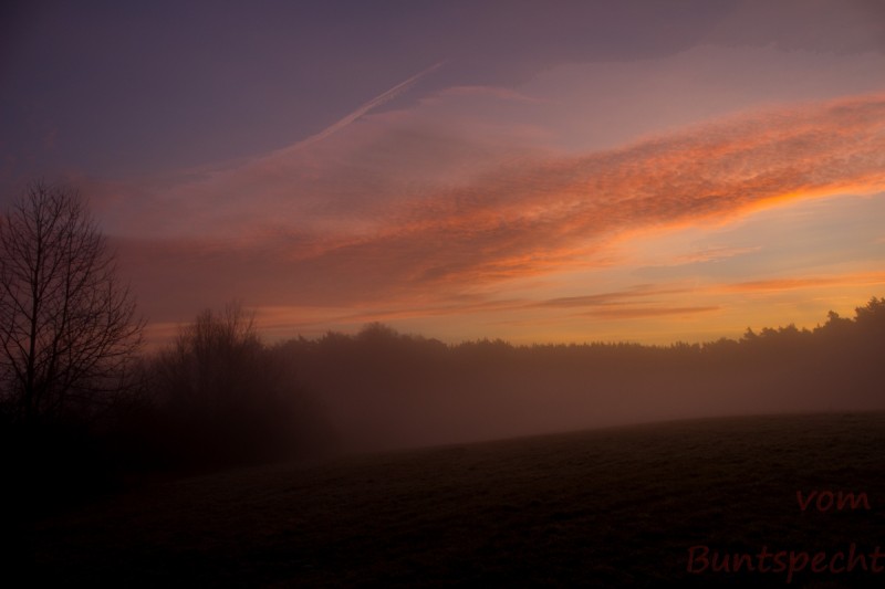 Bildla Nummära 002.jpg