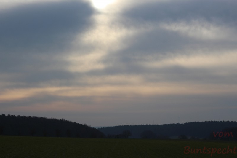 Bildla Nummära 001.jpg