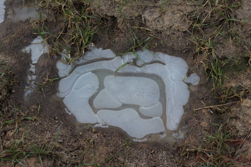 Bildla Nummära 002.jpg