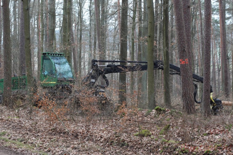 Bildla Nummära 011.jpg