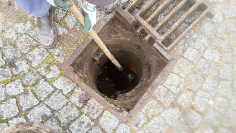 2016-03-06 09.56.31.jpg