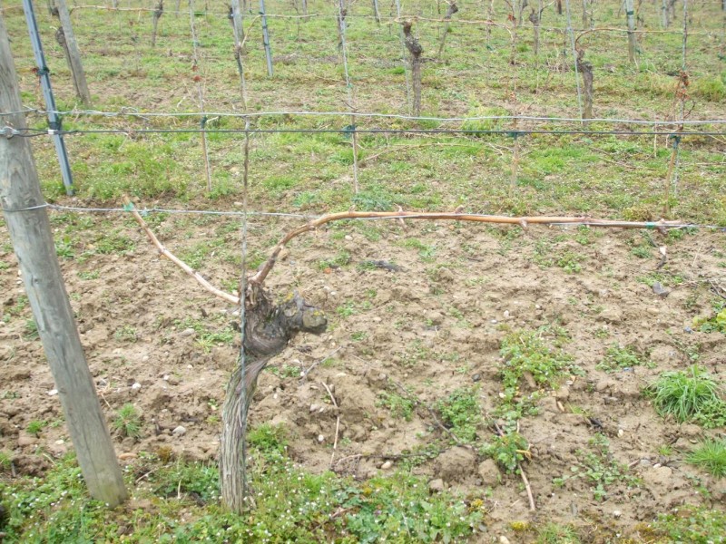 DSCF3752.JPG