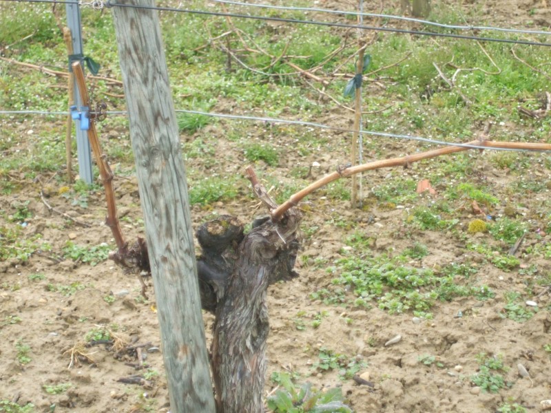 DSCF3750.JPG