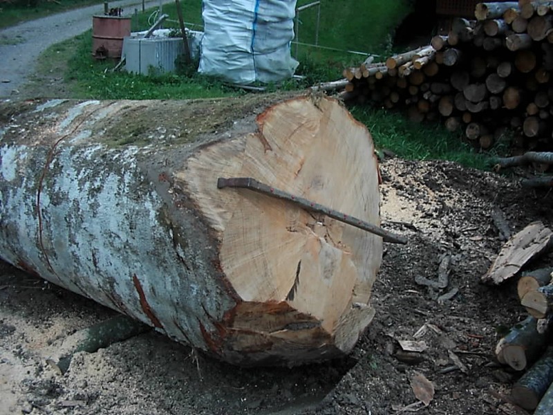 DSCI0026 (1024x768).jpg