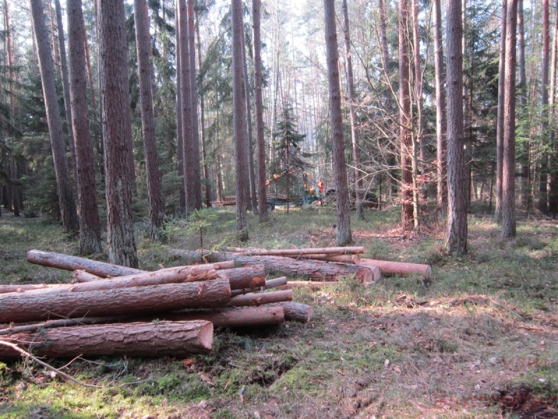 Bildla Nummära 006.jpg