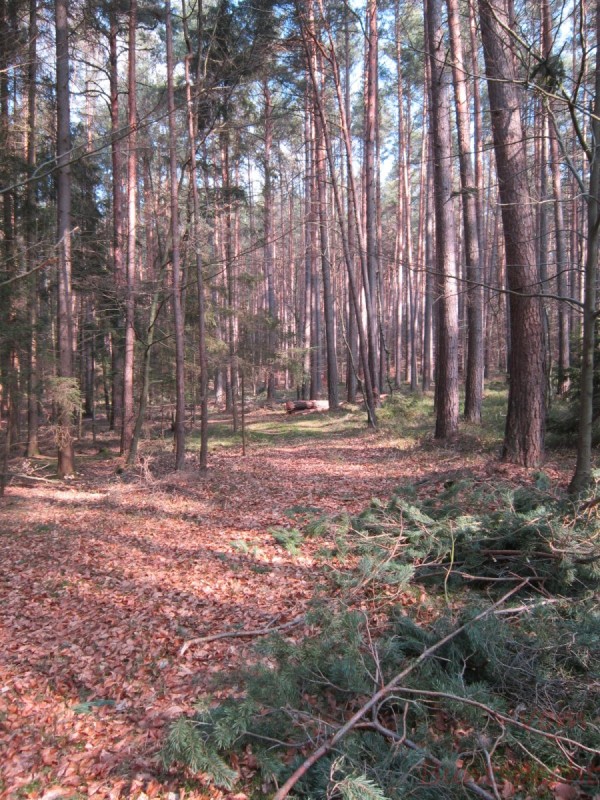 Bildla Nummära 007.jpg