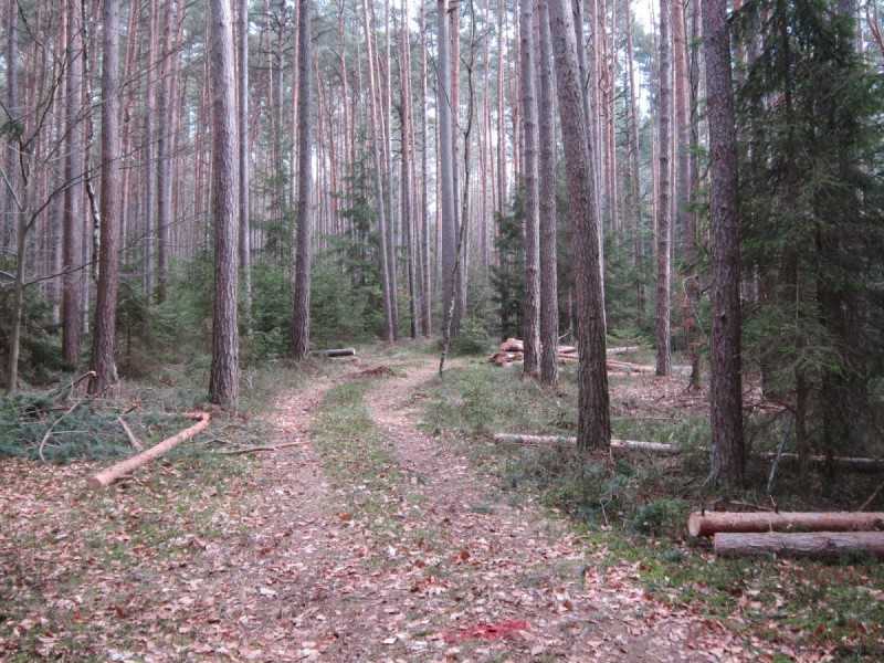 Bildla Nummära 012.jpg