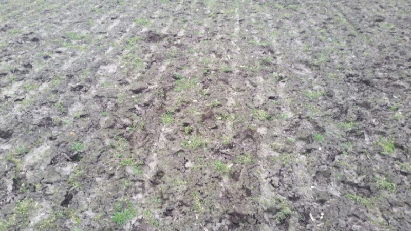 2016-03-21 21.41.56.jpg