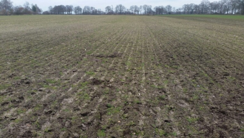 2016-03-21 21.44.51.jpg